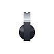 Sony Platinum Wireless Headset