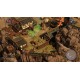 Shadow Tactics Blades Of The Shogun
