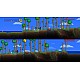 Terraria