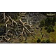 Pathfinder Kingmaker Definitive Edition