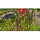 Rollercoaster Tycoon Joyride