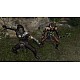 Age Of Conan Hyborian Adventures