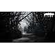 Kholat