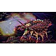 Another Chronicldariusburst Another Chronicle Ex+