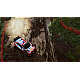 Wrc 10
