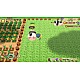 Story Of Seasons Friends Of Mineral Town