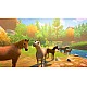 Horse Club Adventures 2 Hazelwood Stories