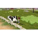 Story Of Seasons Wonderful Life