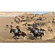 Mount & Blade Ii Bannerlord