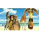 Madagascar Kartz
