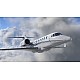 X Plane 12
