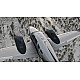 X Plane 12