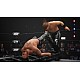 All Elite Wrestling Aew Fight Forever