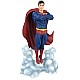 Diamond Dc Gallery Superman Ascendant 25cm