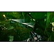 Deep Rock Galactic Special Edition - Playstation 5