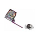 Bakugan Starter Pack Special Attack Nillious/titanium Dragonoid/titanium Trox (20142185)