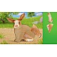 Puzzles Farm World