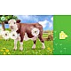 Puzzles Farm World