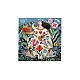 Puzzle Eeboo Mother Earth 1000pc (epztmoe)