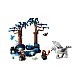 Lego Harry Pottertm Forbidden Foresttm Magical Creatures (76432)