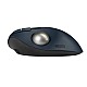 Mouse Kensington Profit Ergo Tb550 Trackball Wireless Black