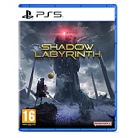Shadow Labyrinth