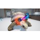 My Life Pet Vet (code In A Box)