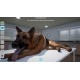 My Life Pet Vet (code In A Box)