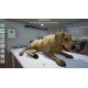 My Life Pet Vet (code In A Box)